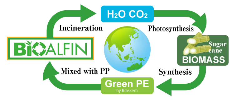  BioALFIN circulation process